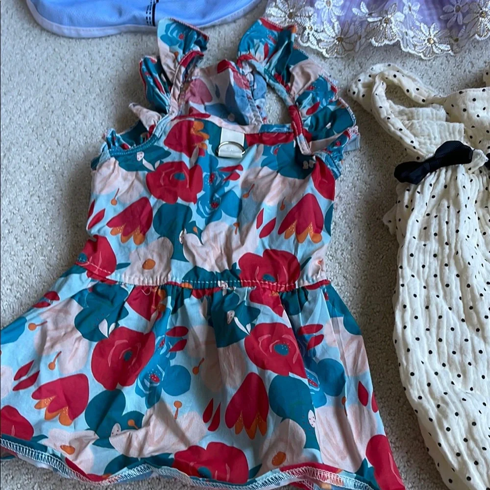 Bundle of Assorted Dog Dresses and Outfits